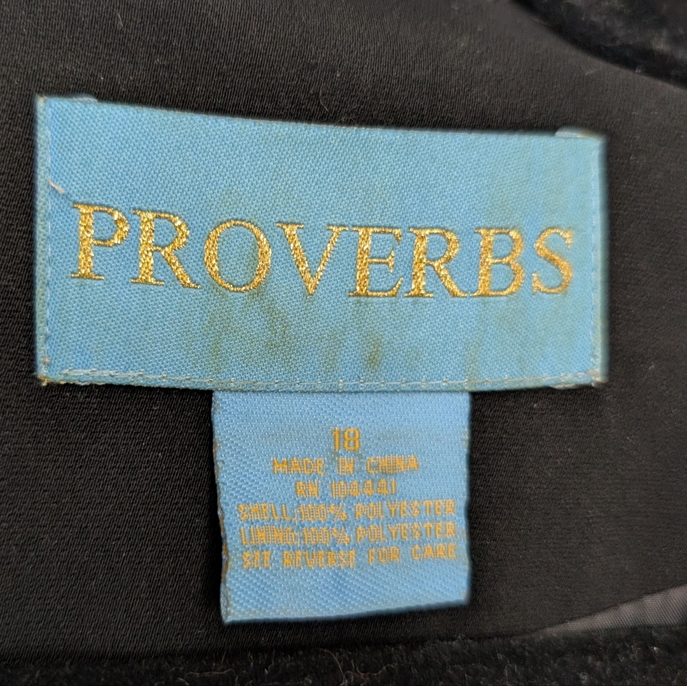 Proverbs Size 18 Statement Blazer W Gingham Scarf… - image 6